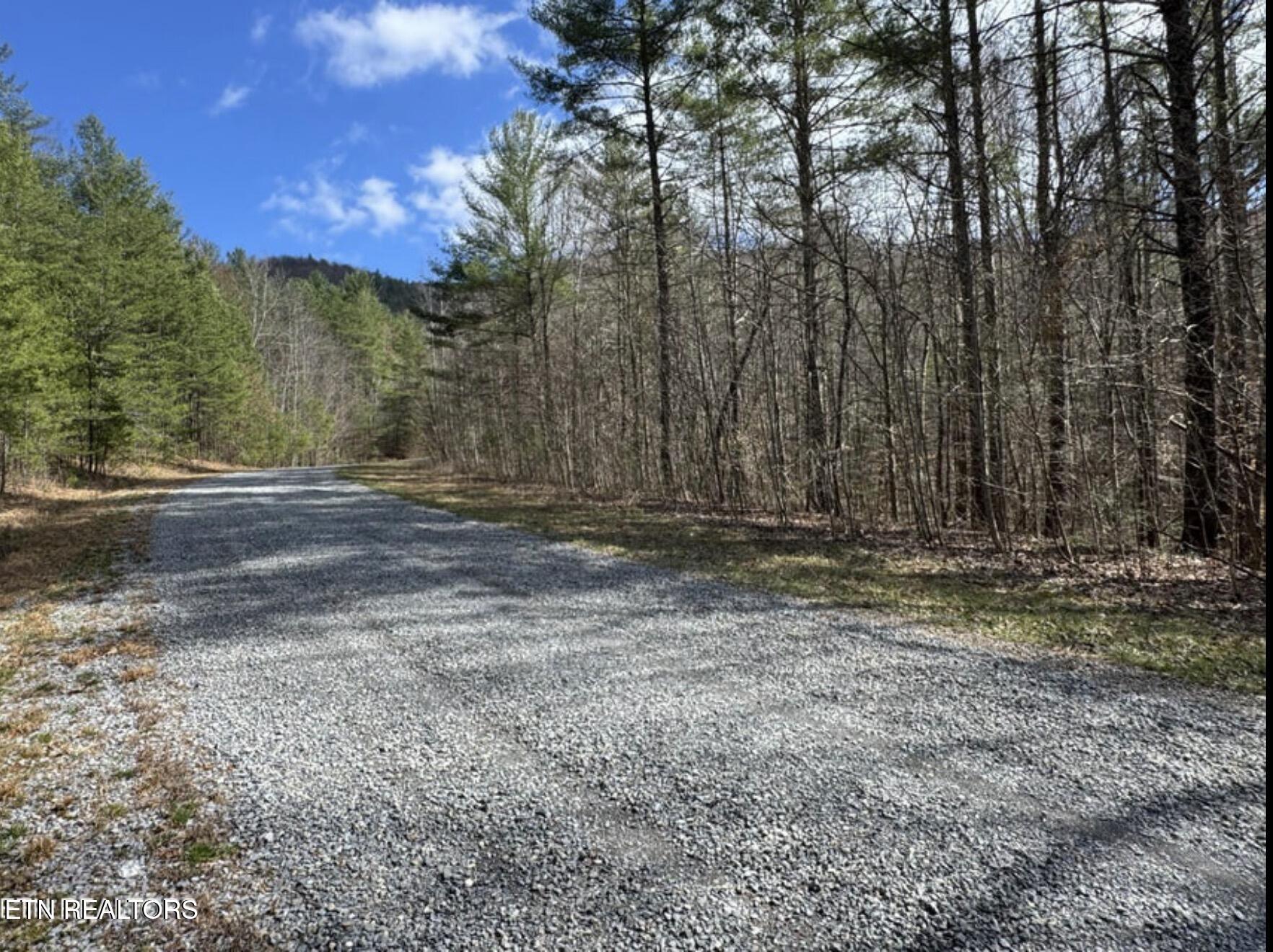 Cougar Trail Del Rio TN 37727