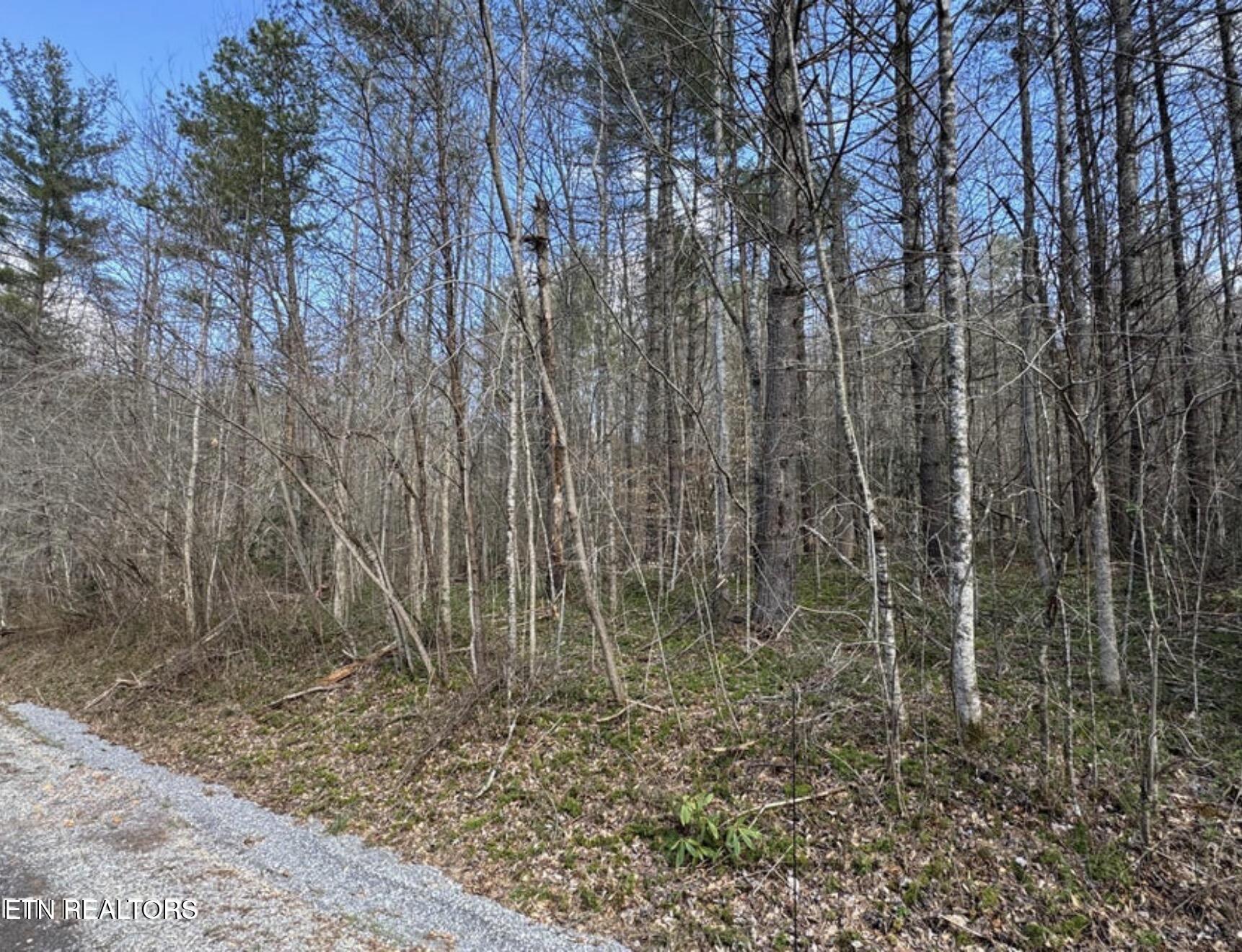 Cougar Trail Del Rio TN 37727
