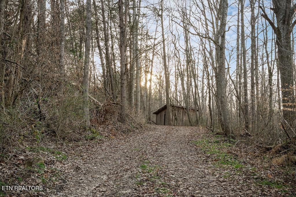 0 Buffalo Cove Lane Jamestown TN 38556