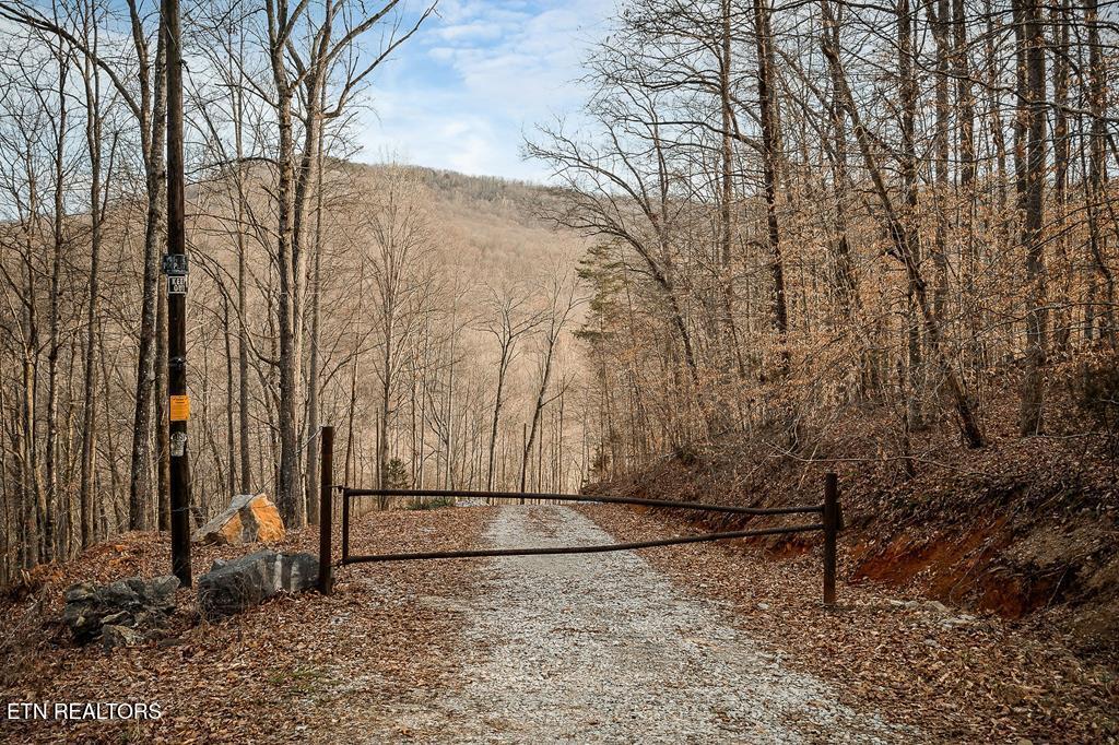 0 Buffalo Cove Lane Jamestown TN 38556