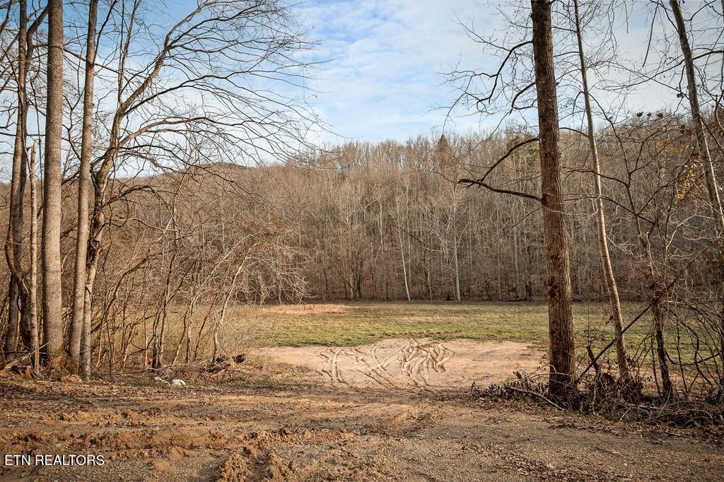 0 Buffalo Cove Lane Jamestown TN 38556