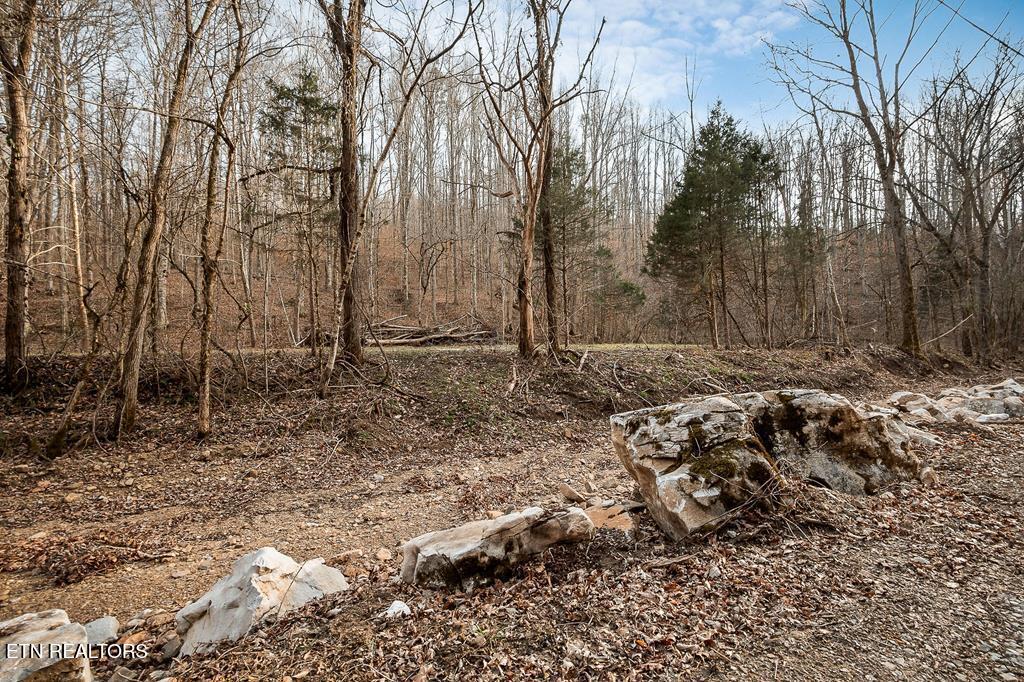 0 Buffalo Cove Lane Jamestown TN 38556