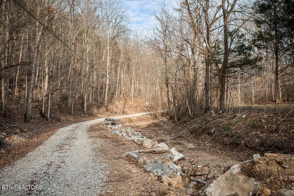 0 Buffalo Cove Lane Jamestown TN 38556