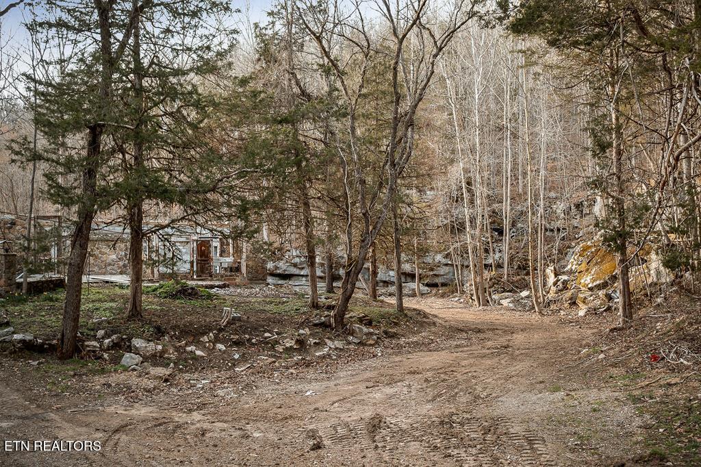 0 Buffalo Cove Lane Jamestown TN 38556