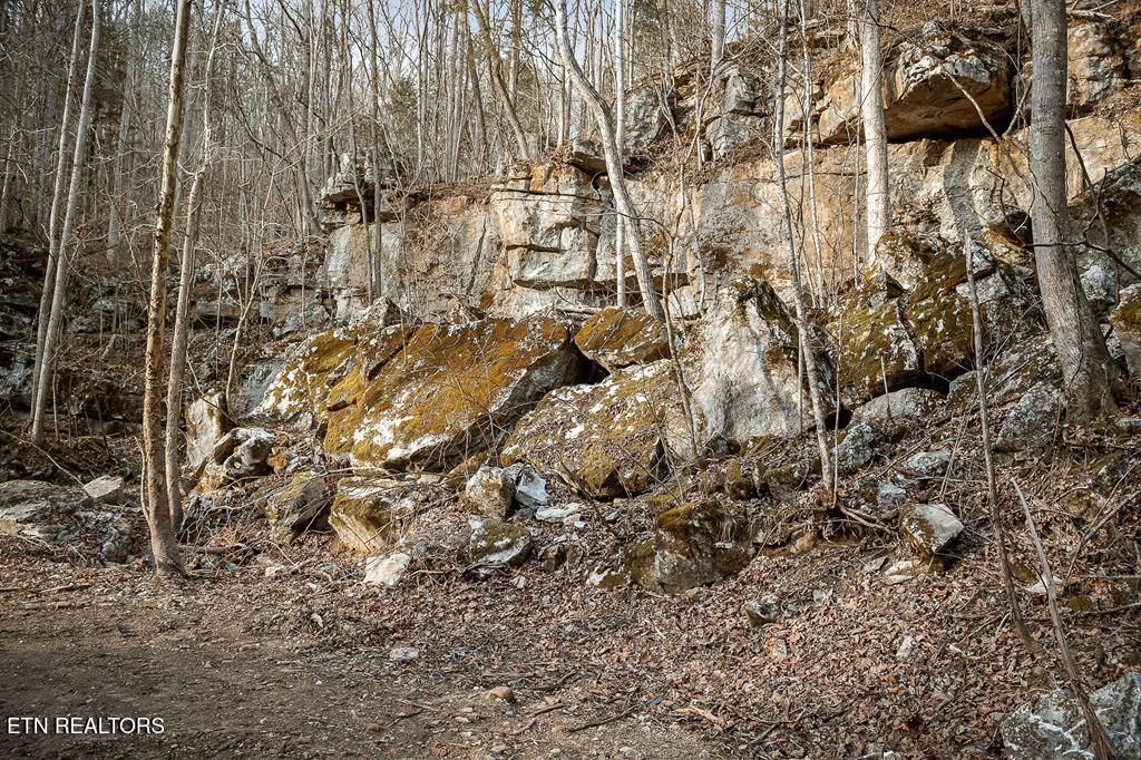 0 Buffalo Cove Lane Jamestown TN 38556