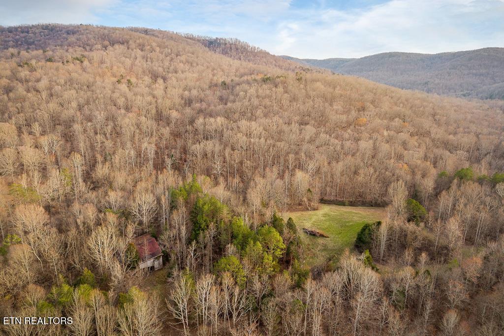0 Buffalo Cove Lane Jamestown TN 38556