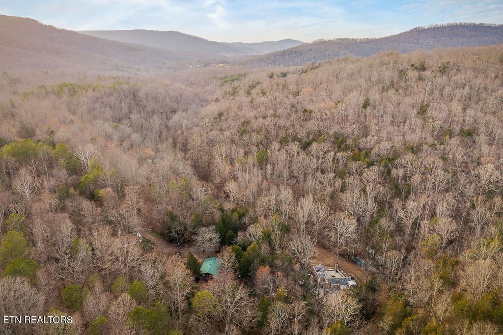 0 Buffalo Cove Lane Jamestown TN 38556