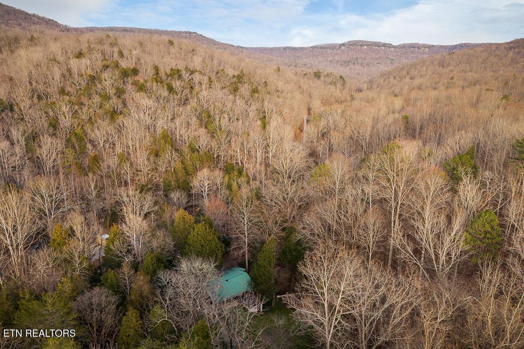 0 Buffalo Cove Lane Jamestown TN 38556