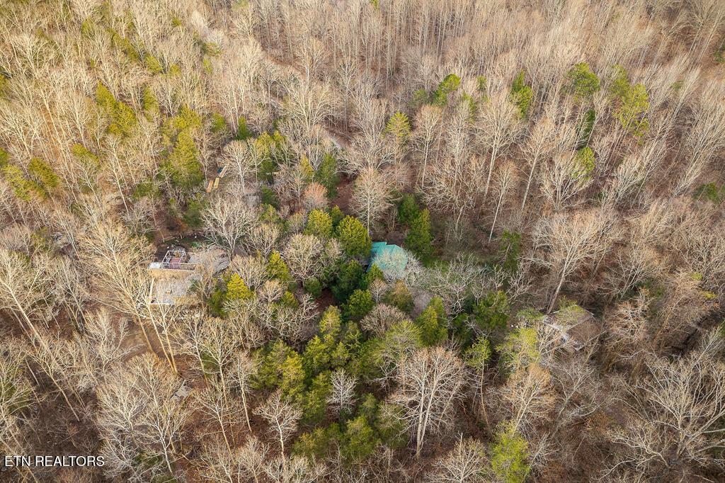 0 Buffalo Cove Lane Jamestown TN 38556