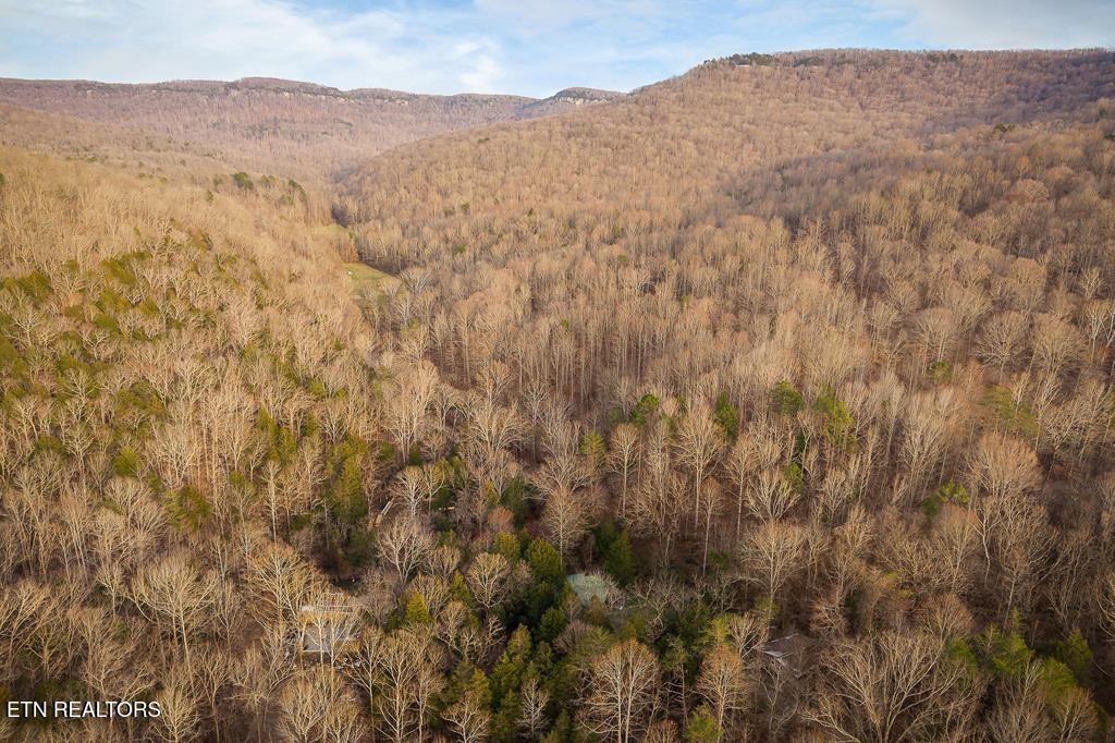 0 Buffalo Cove Lane Jamestown TN 38556