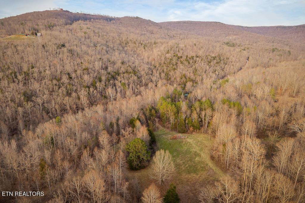 0 Buffalo Cove Lane Jamestown TN 38556