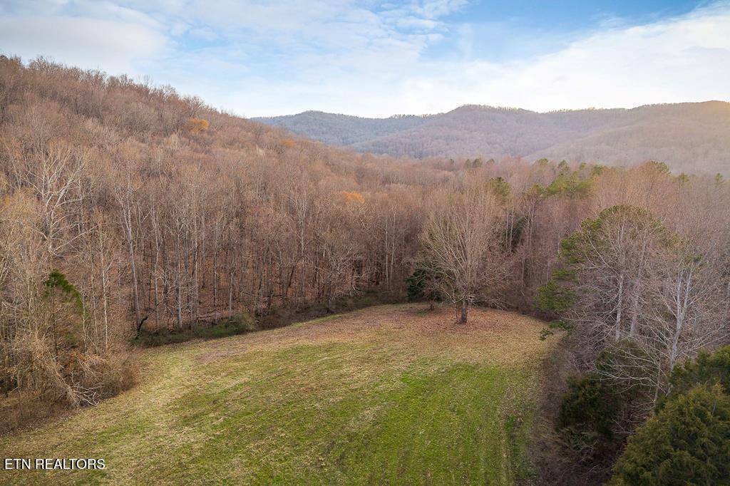 0 Buffalo Cove Lane Jamestown TN 38556