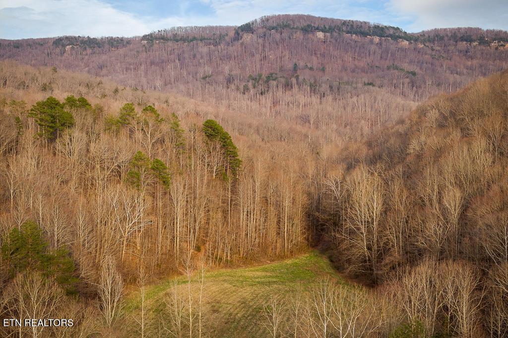 0 Buffalo Cove Lane Jamestown TN 38556