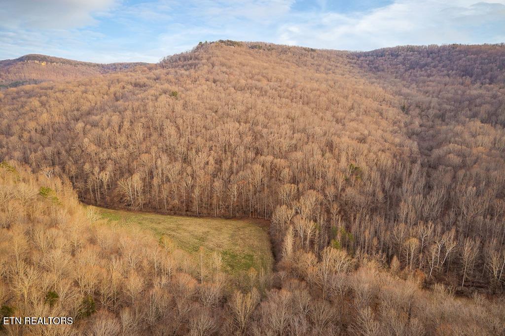 0 Buffalo Cove Lane Jamestown TN 38556
