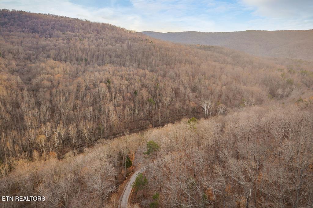 0 Buffalo Cove Lane Jamestown TN 38556