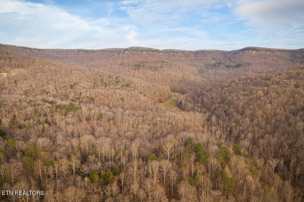 0 Buffalo Cove Lane Jamestown TN 38556