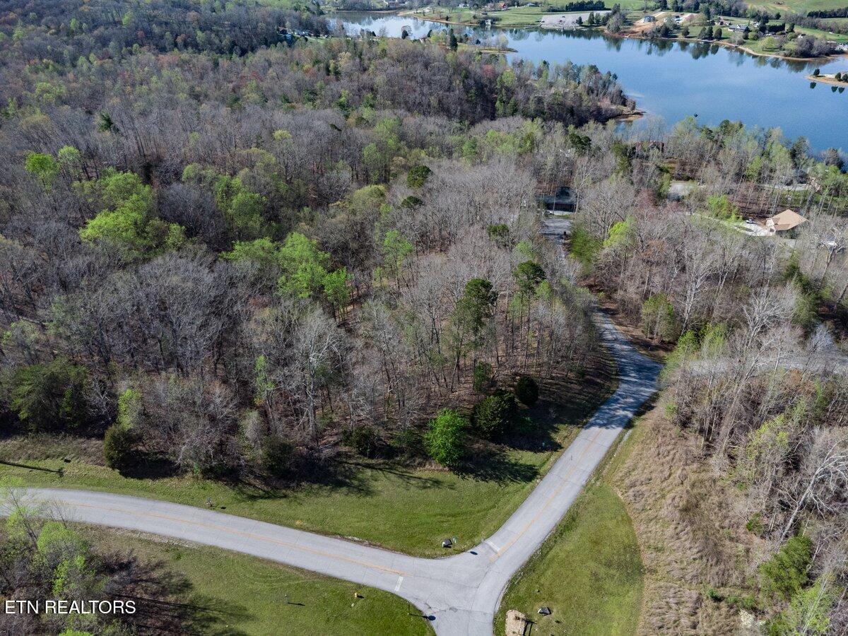 Crystal Springs Road Lot 209 Rockwood TN 37854