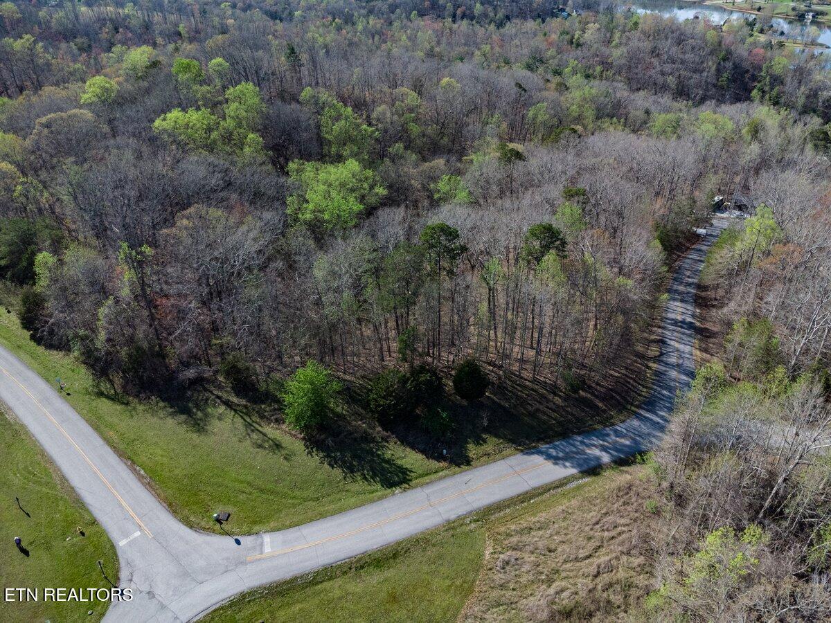 Crystal Springs Road Lot 209 Rockwood TN 37854