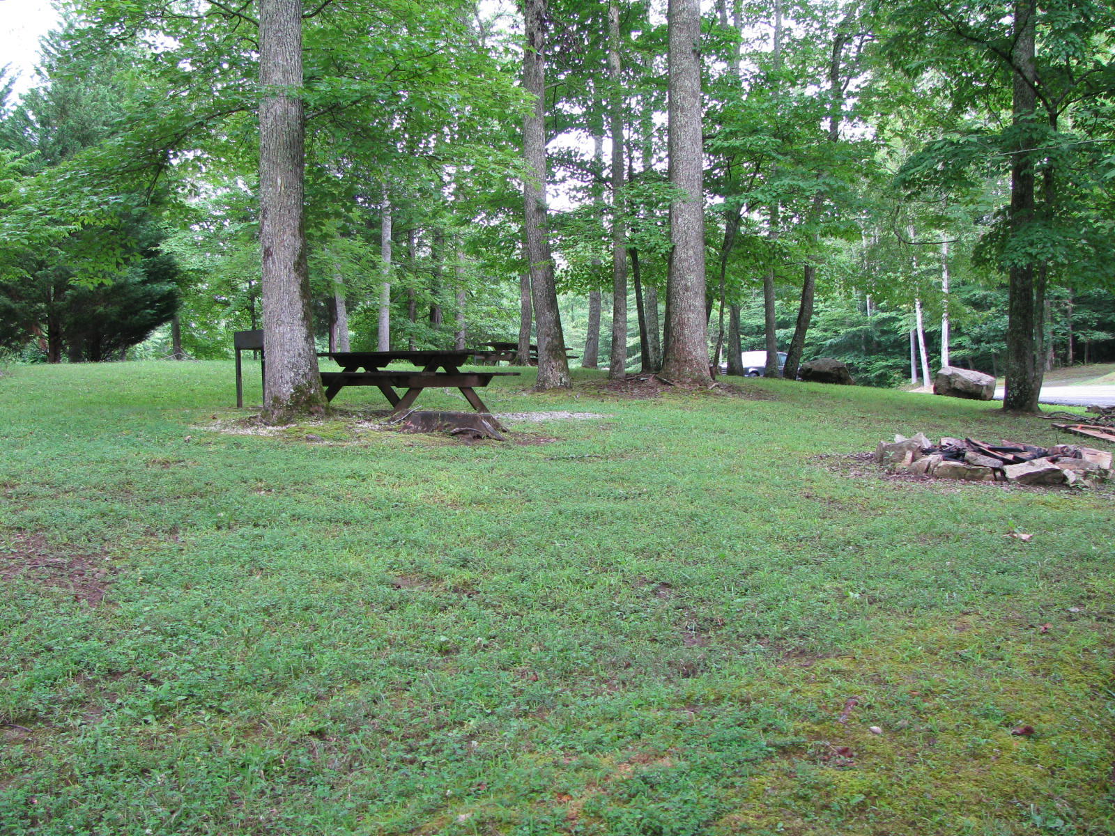 Crystal Springs Road Lot 209 Rockwood TN 37854