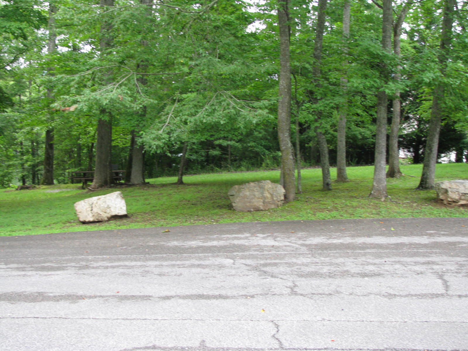 Crystal Springs Road Lot 209 Rockwood TN 37854