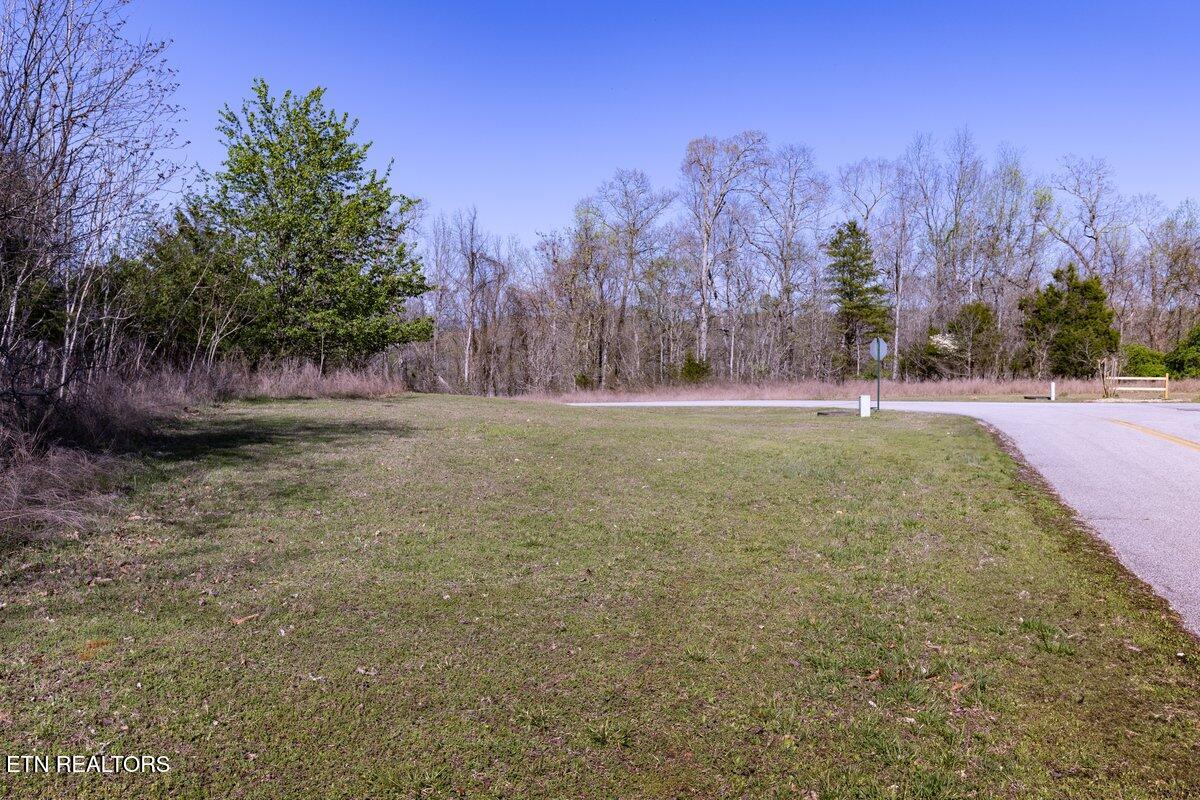 Crystal Springs Road Lot 209 Rockwood TN 37854