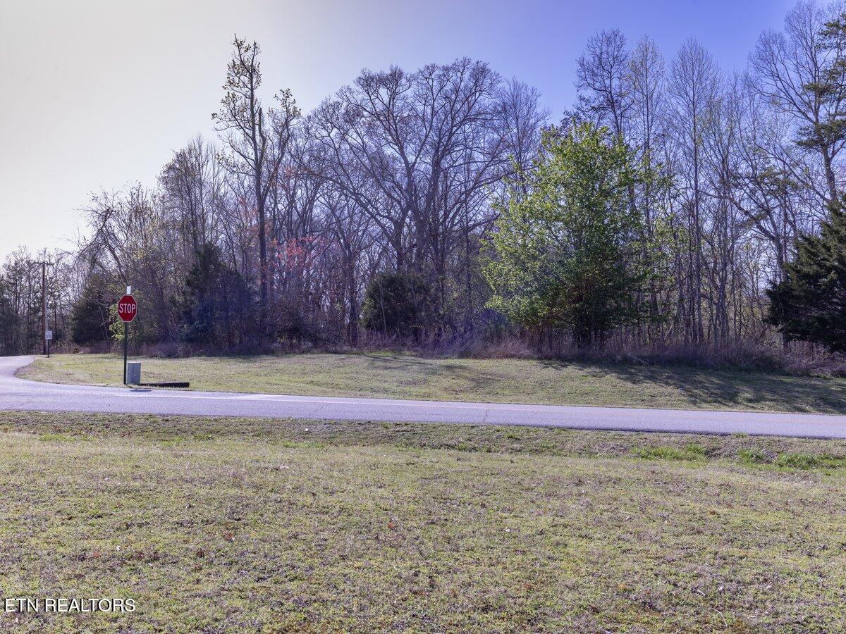 Crystal Springs Road Lot 209 Rockwood TN 37854