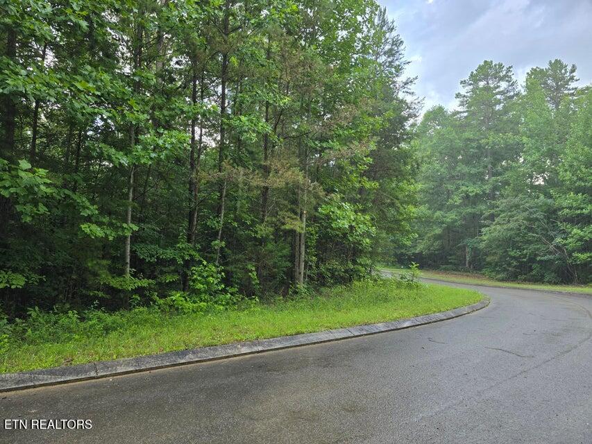 Lot 156 Lower Brow Road Dunlap TN 37327