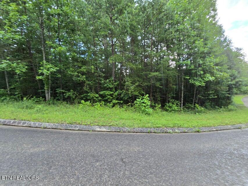 Lot 156 Lower Brow Road Dunlap TN 37327