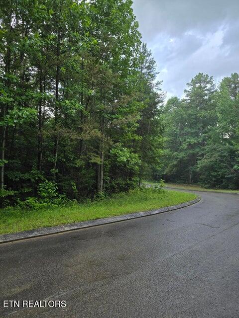 Lot 156 Lower Brow Road Dunlap TN 37327