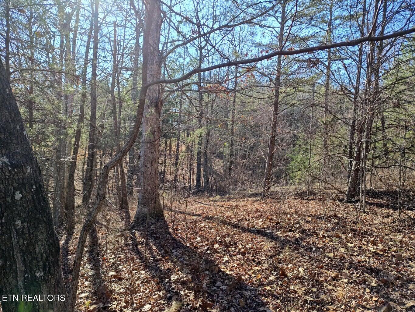 0 Skyhigh Trail Dunlap TN 37327