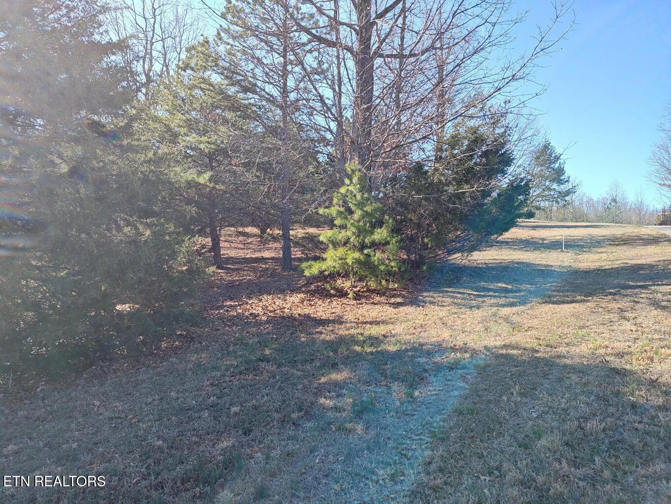 0 Skyhigh Trail Dunlap TN 37327