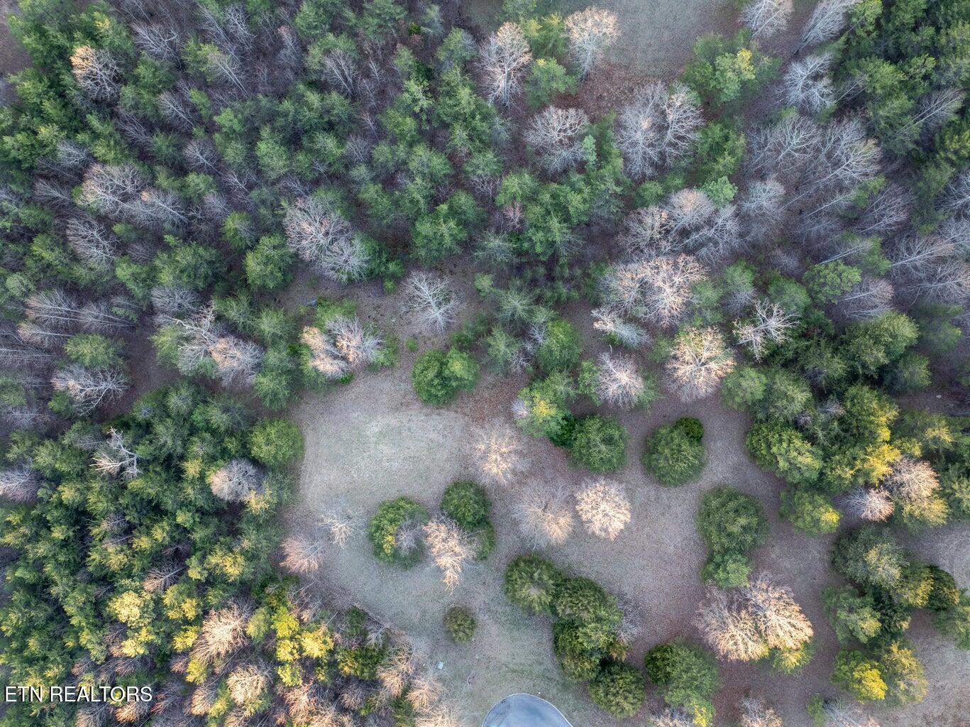 0 Skyhigh Trail Dunlap TN 37327