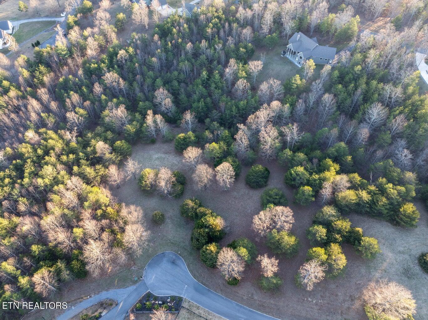 0 Skyhigh Trail Dunlap TN 37327