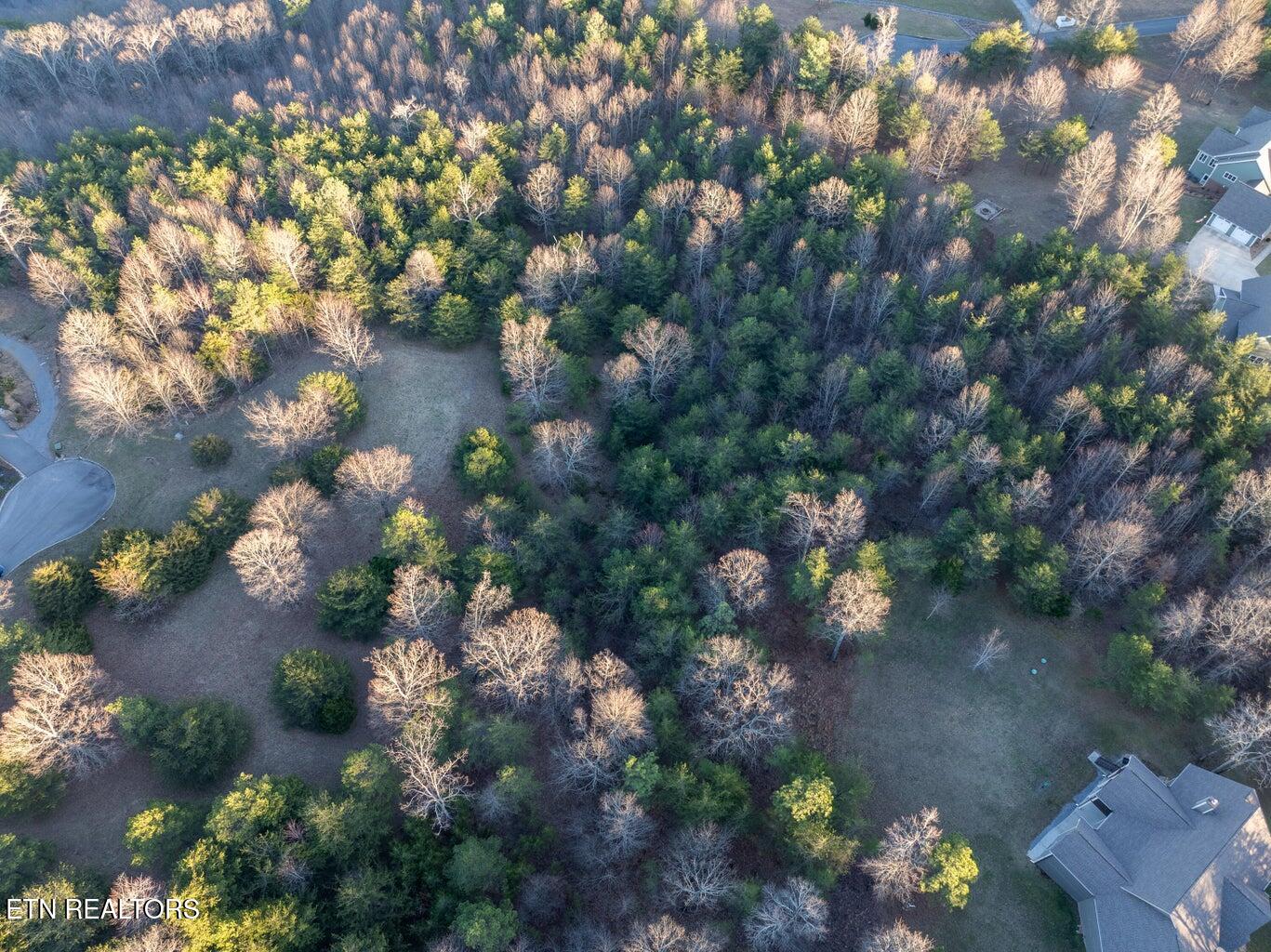 0 Skyhigh Trail Dunlap TN 37327
