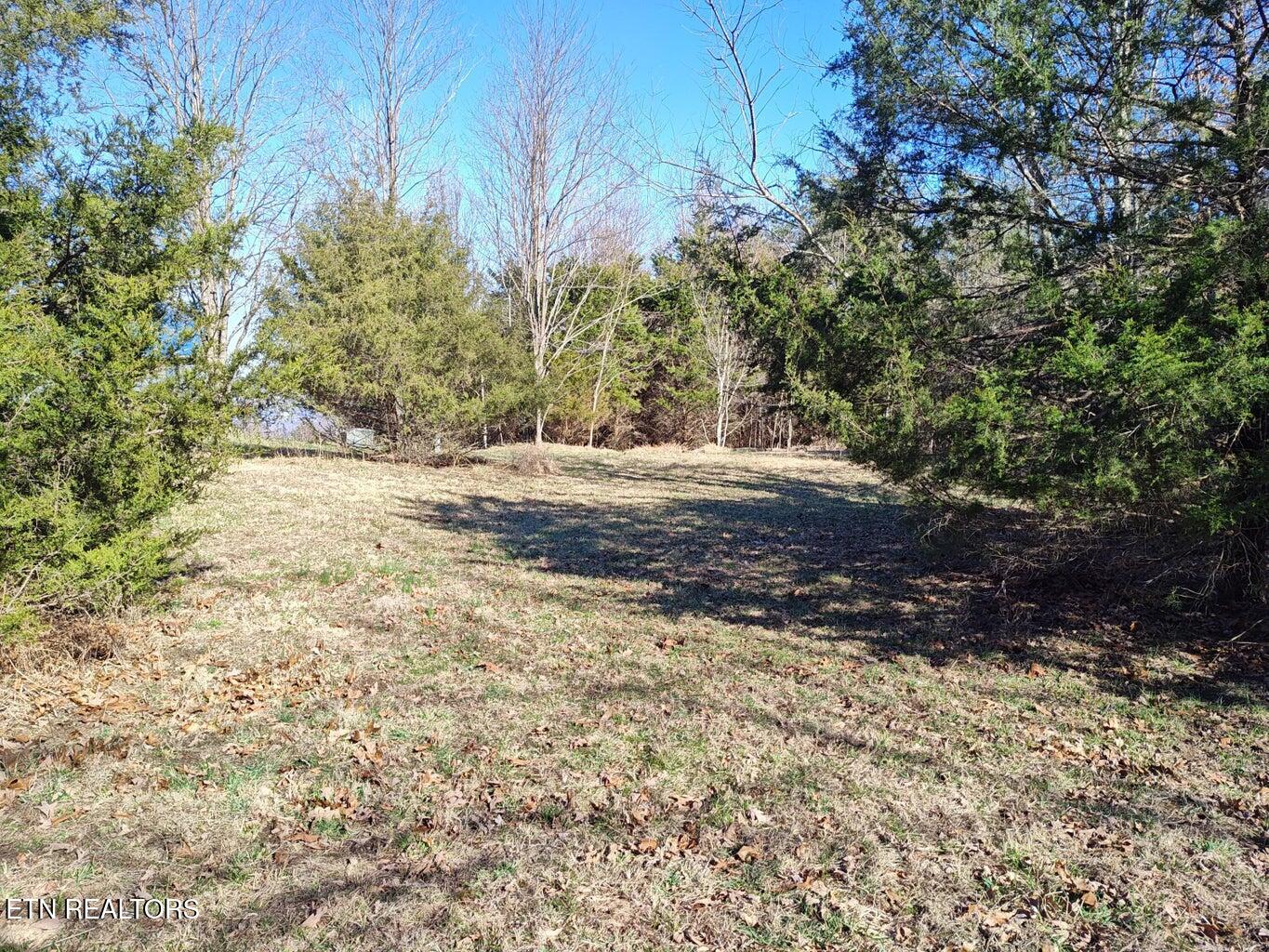 0 Skyhigh Trail Dunlap TN 37327