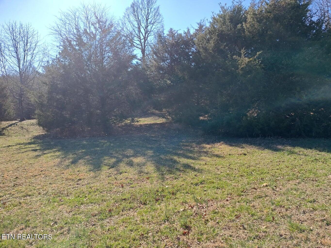 0 Skyhigh Trail Dunlap TN 37327