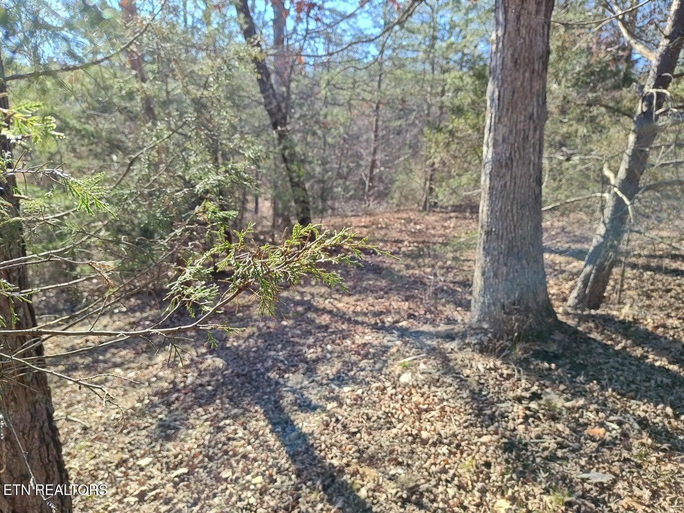 0 Skyhigh Trail Dunlap TN 37327