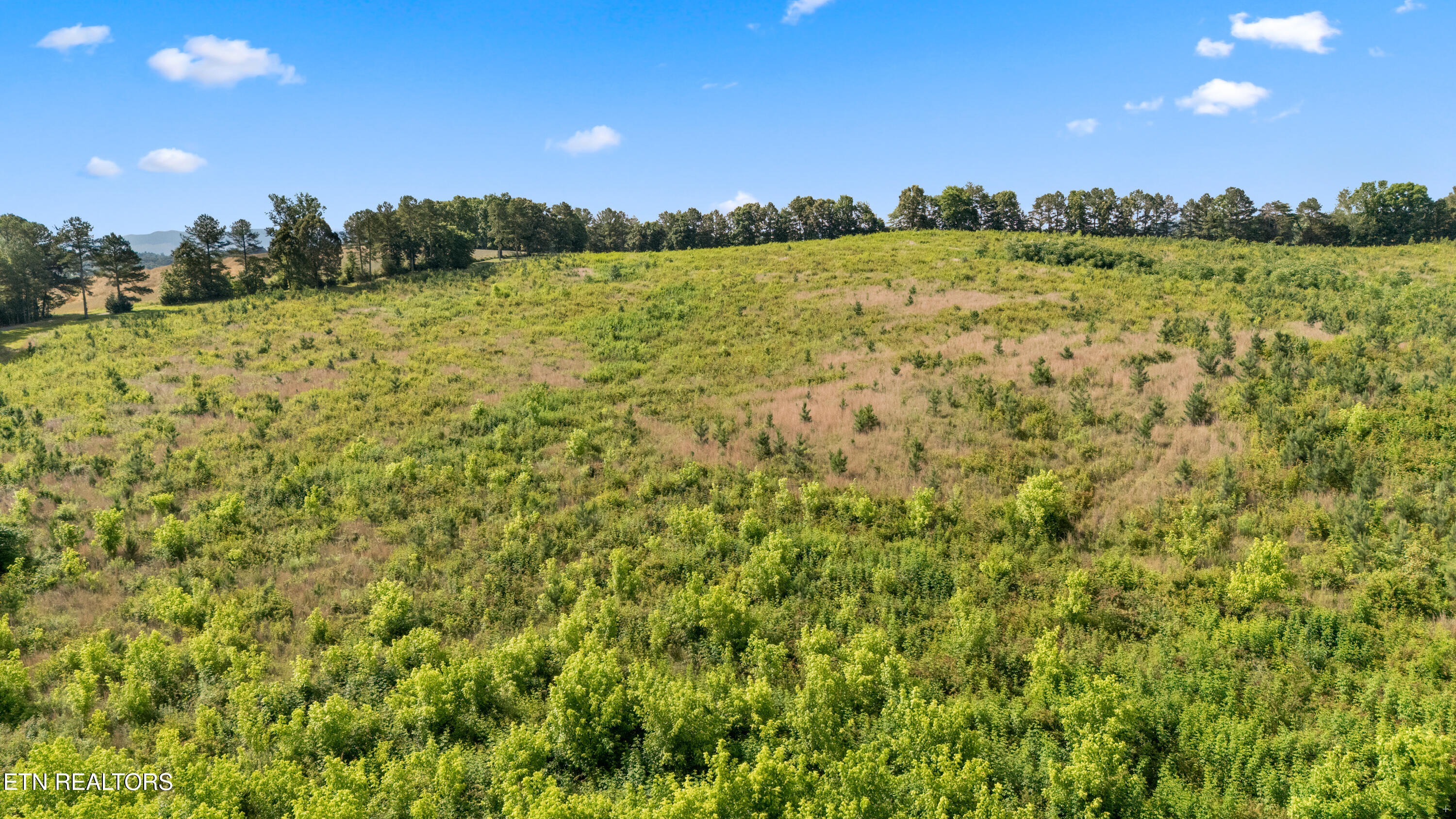 Wade Road Loudon TN 37774