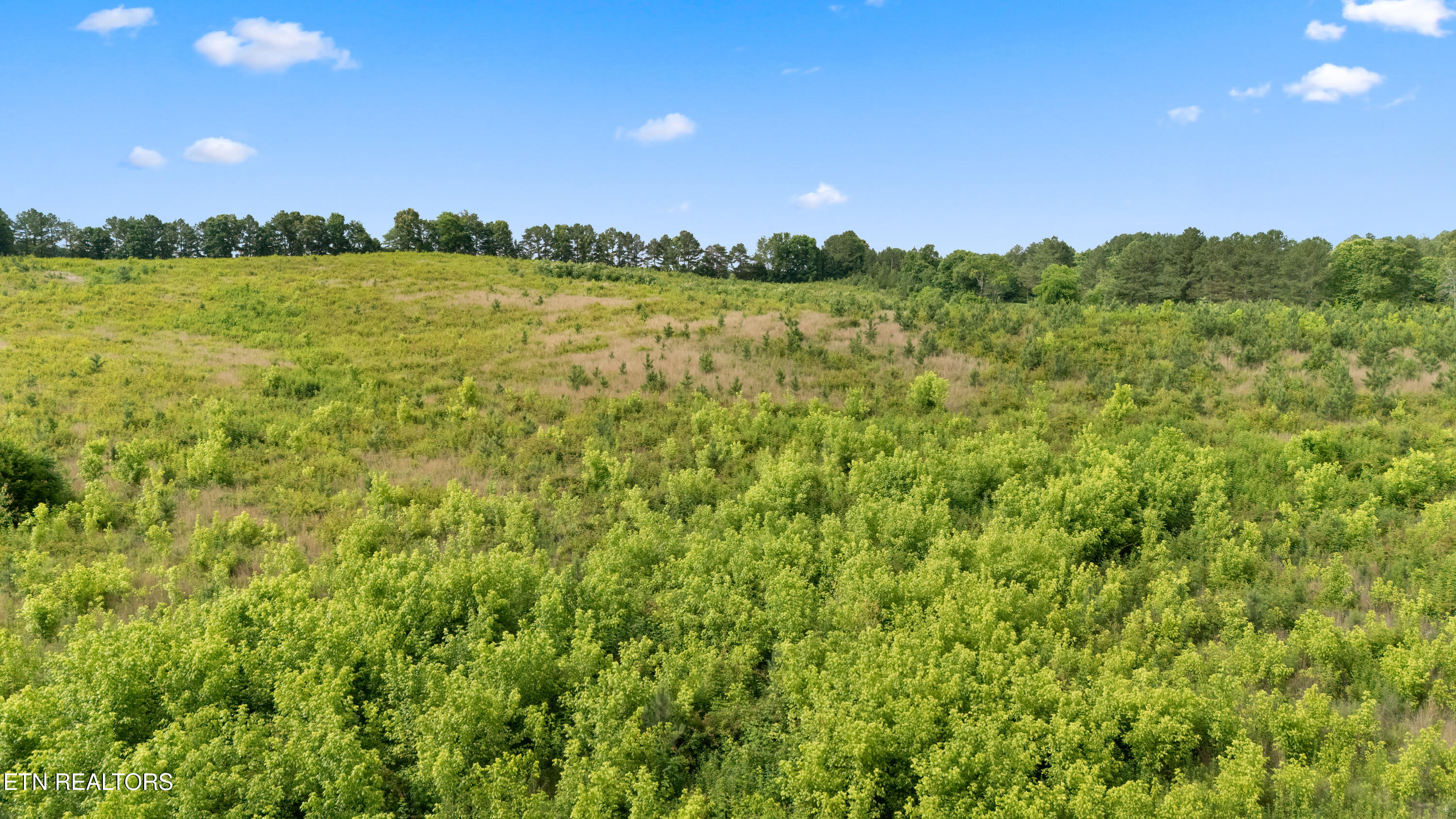 Wade Road Loudon TN 37774