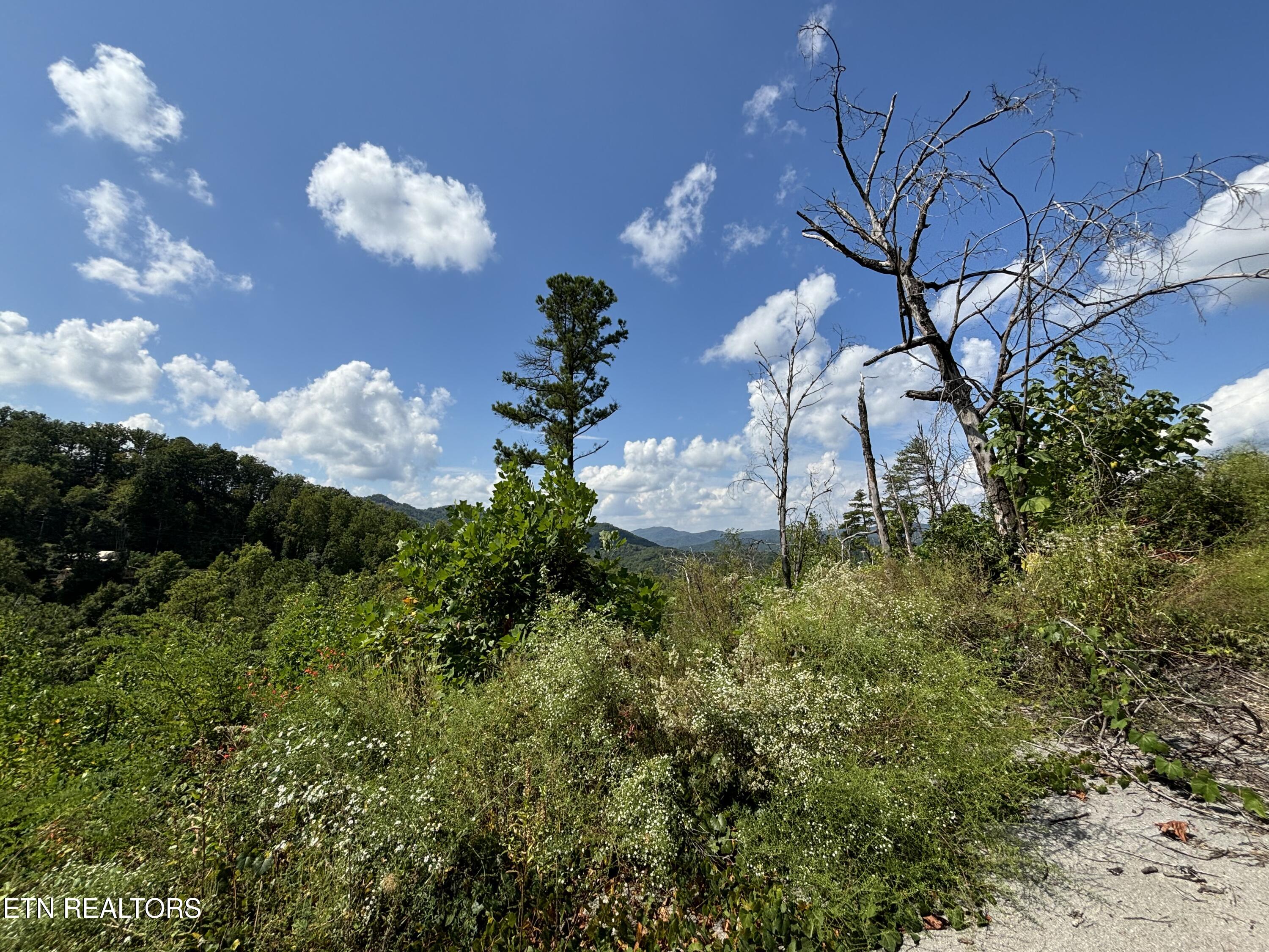 3217 Emerald Springs Loop Sevierville TN 37862