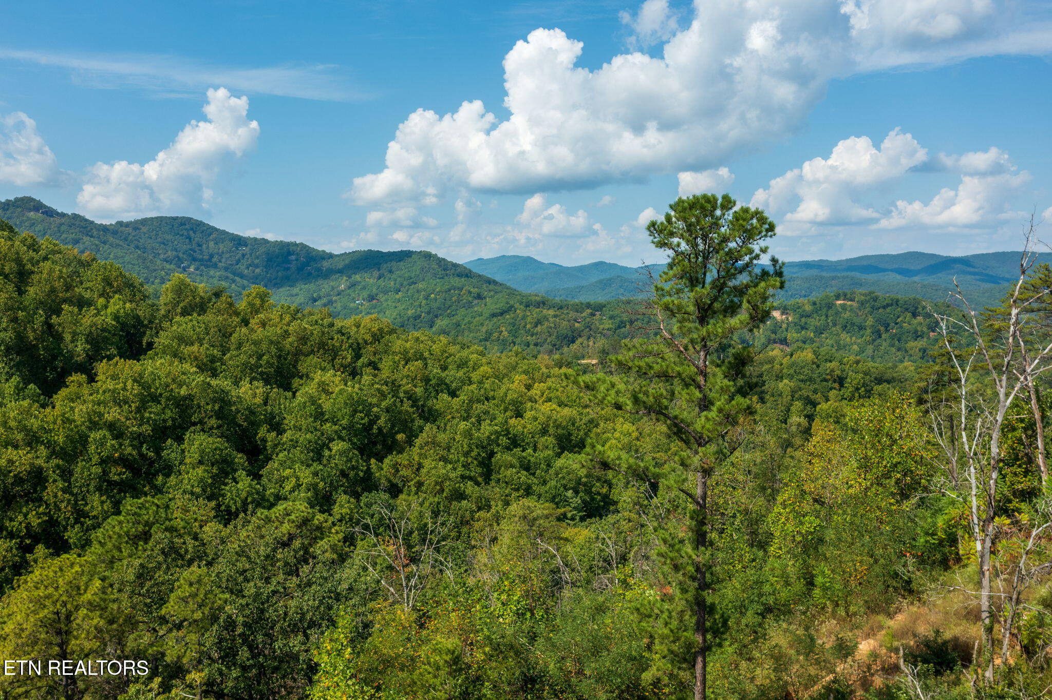 3217 Emerald Springs Loop Sevierville TN 37862