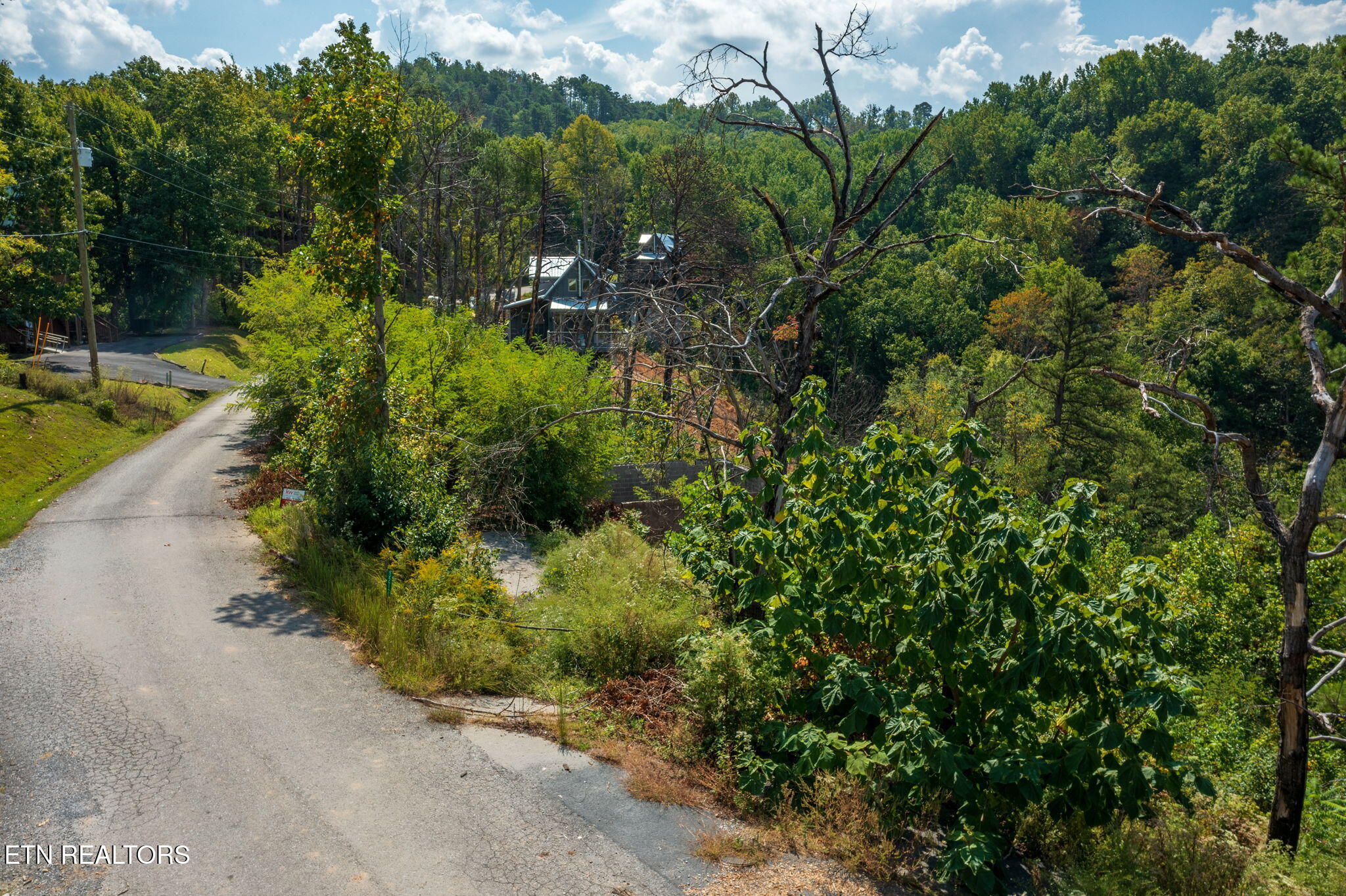 3217 Emerald Springs Loop Sevierville TN 37862