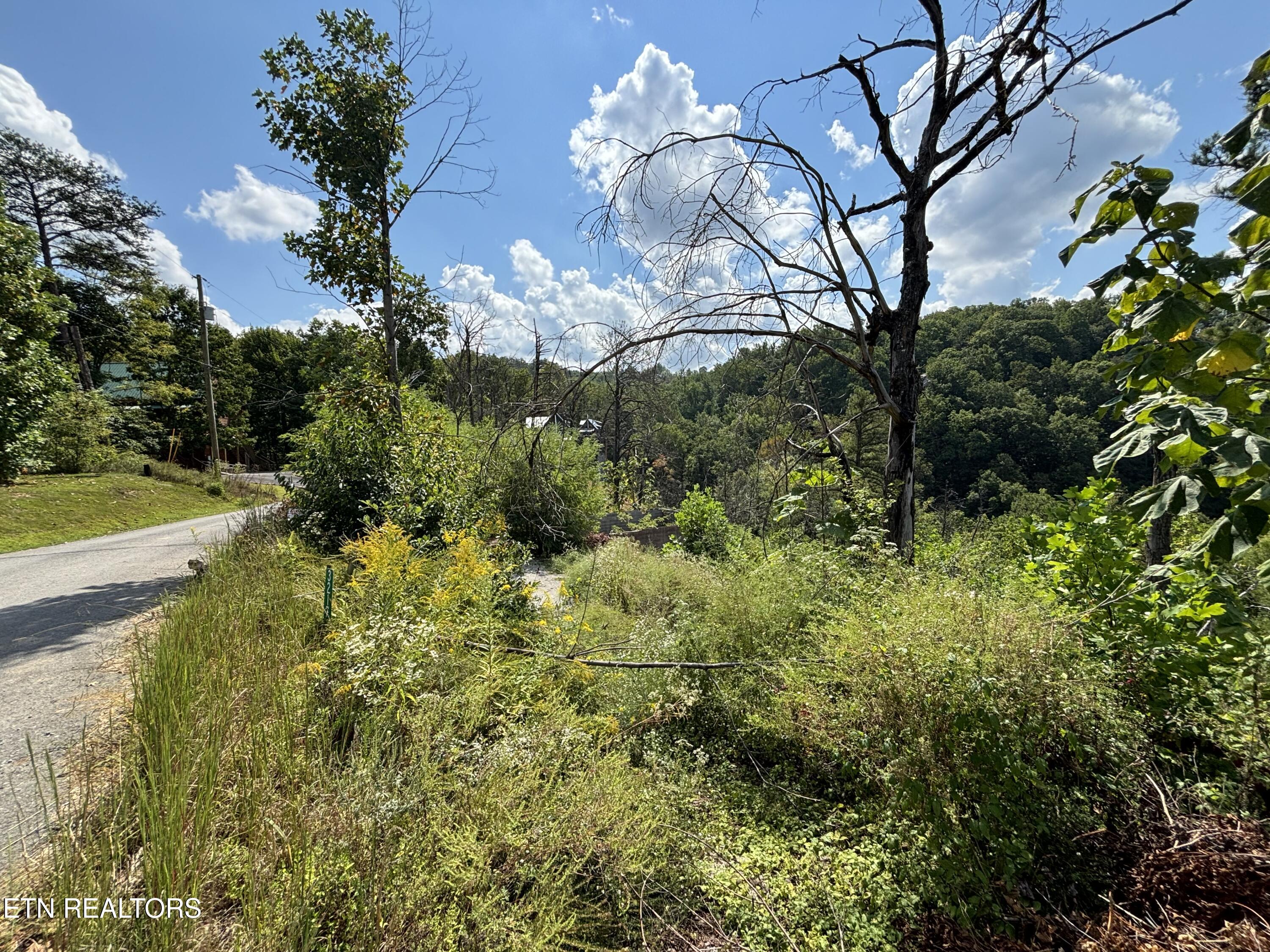 3217 Emerald Springs Loop Sevierville TN 37862