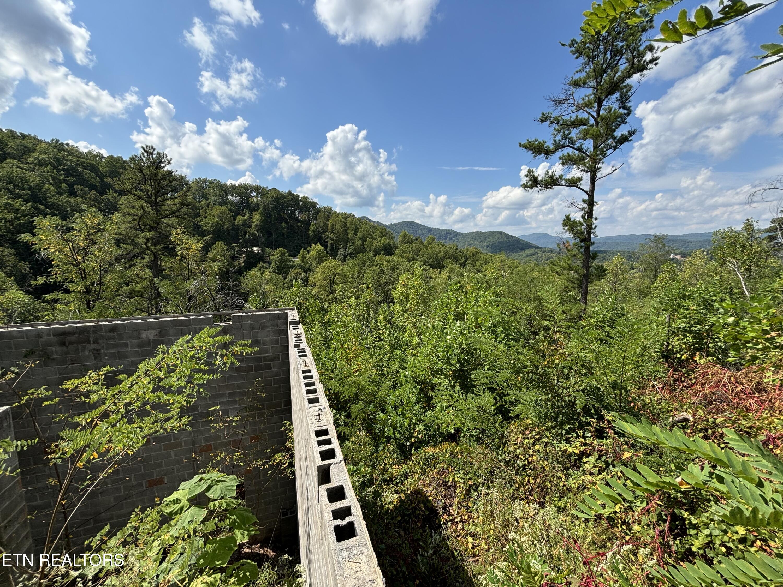 3217 Emerald Springs Loop Sevierville TN 37862