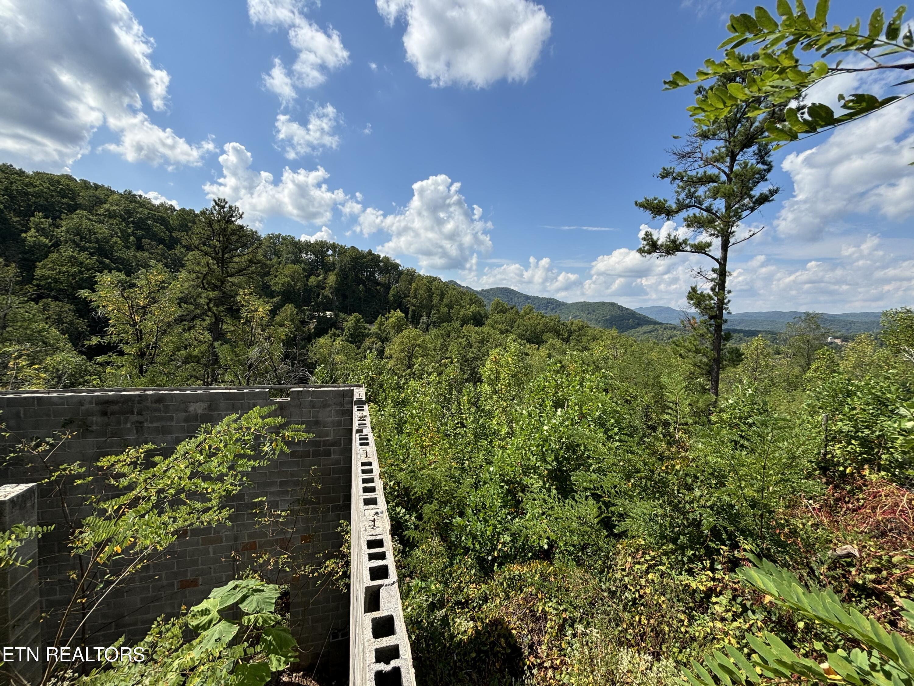 3217 Emerald Springs Loop Sevierville TN 37862