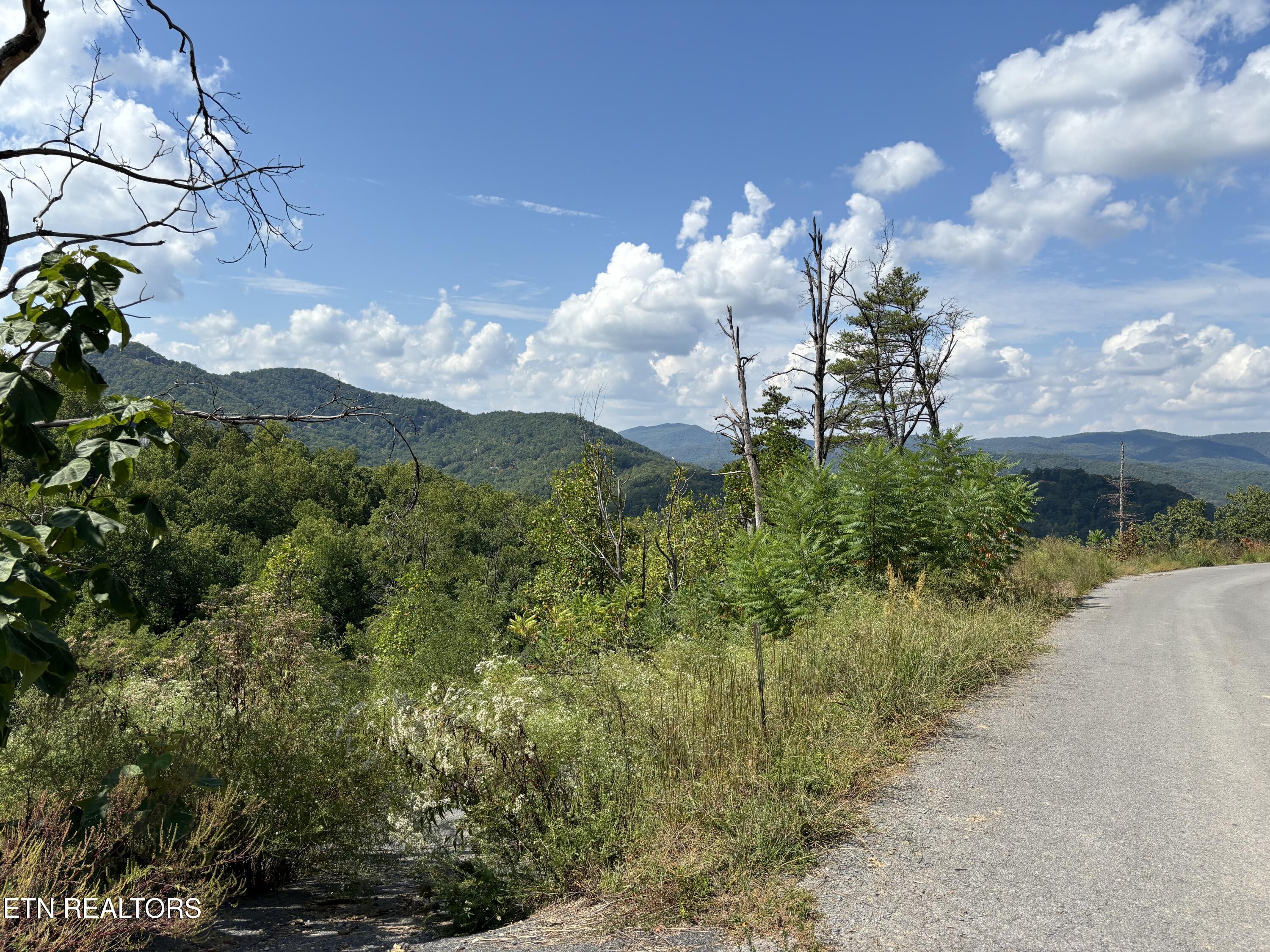 3217 Emerald Springs Loop Sevierville TN 37862