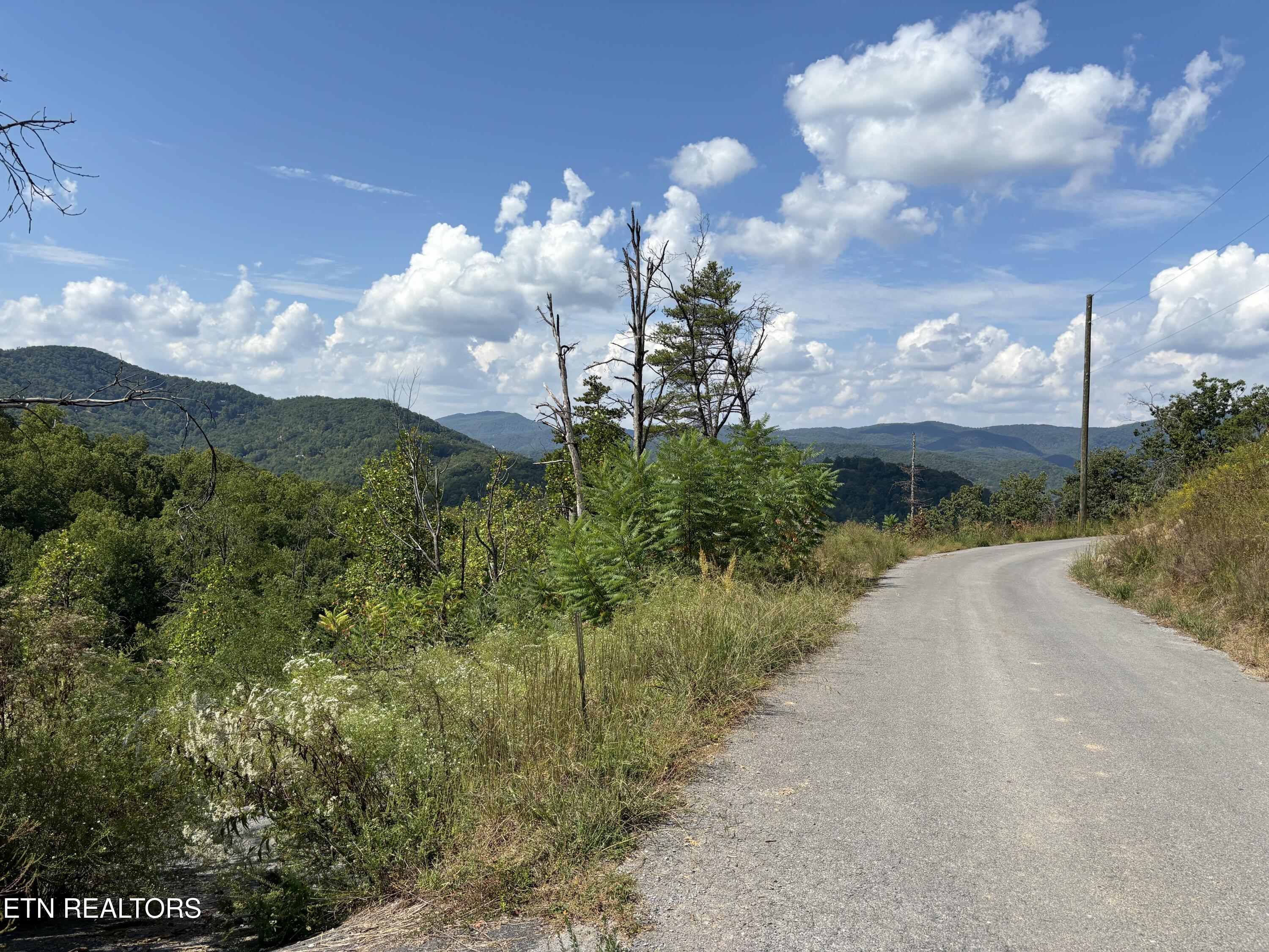 3217 Emerald Springs Loop Sevierville TN 37862