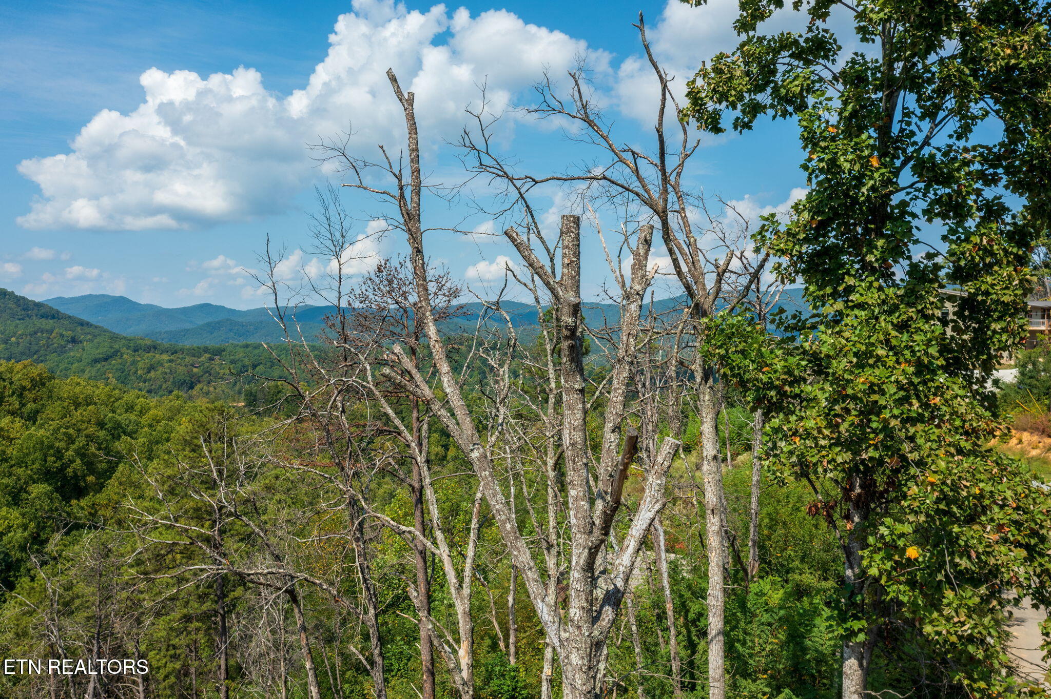 3217 Emerald Springs Loop Sevierville TN 37862