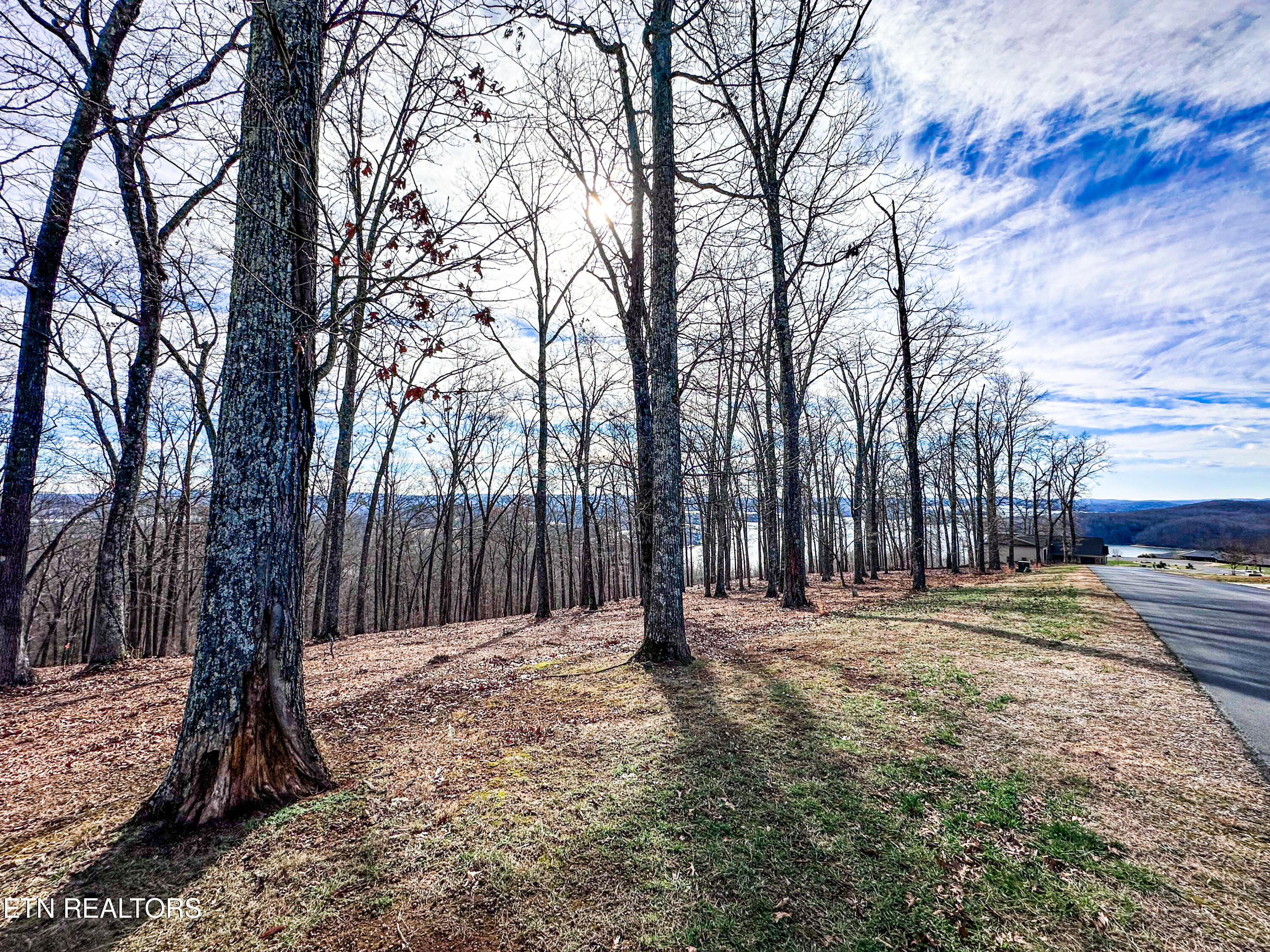 Grand Vista Drive Rockwood TN 37854
