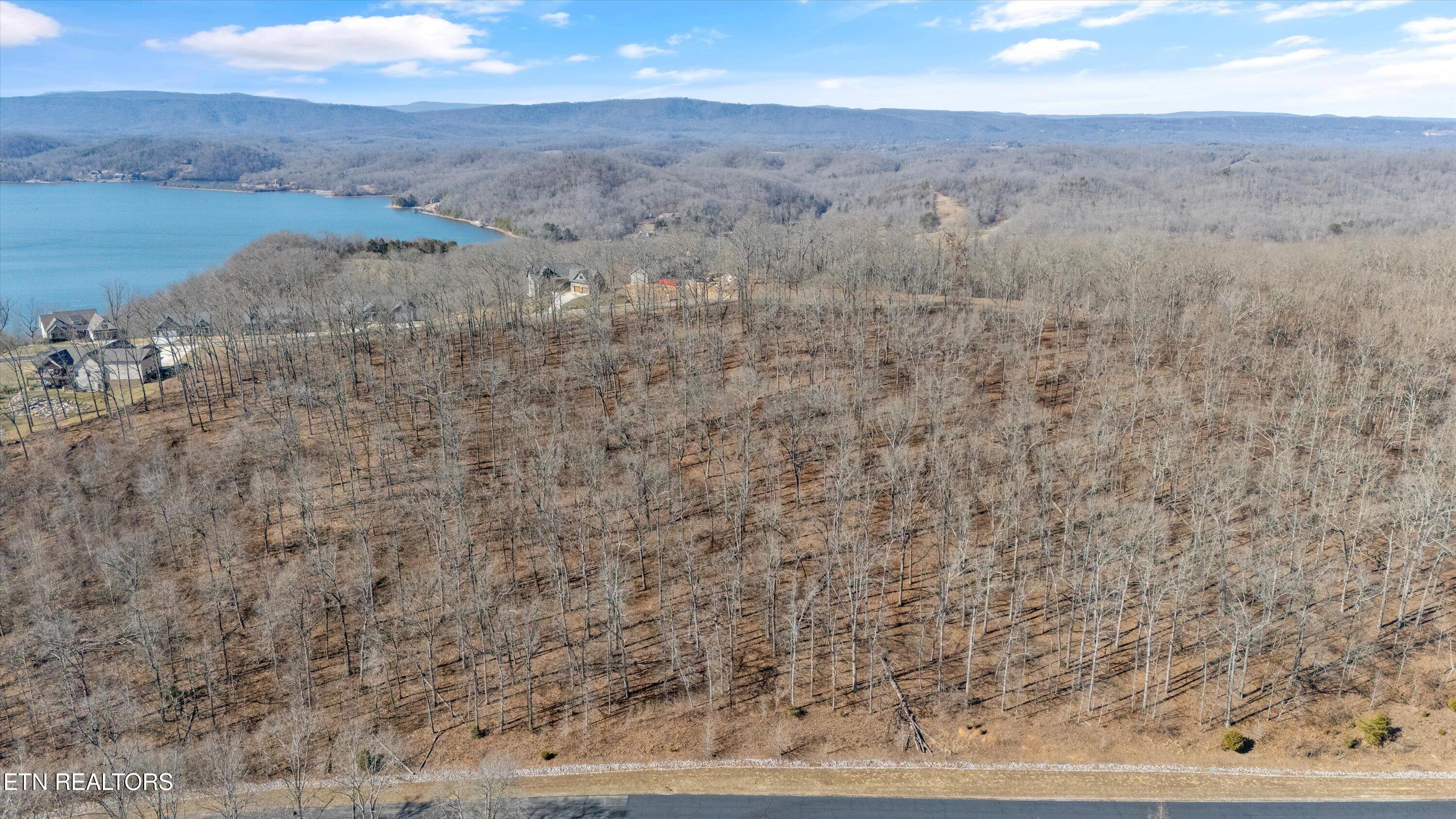 Grand Vista Drive Rockwood TN 37854